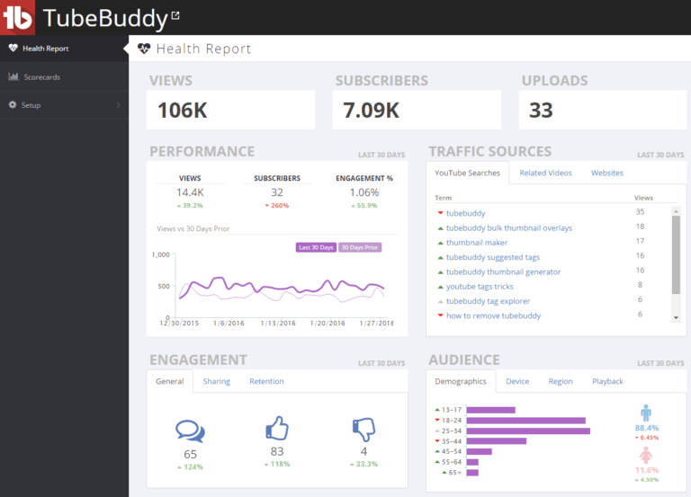 tubebuddy health report